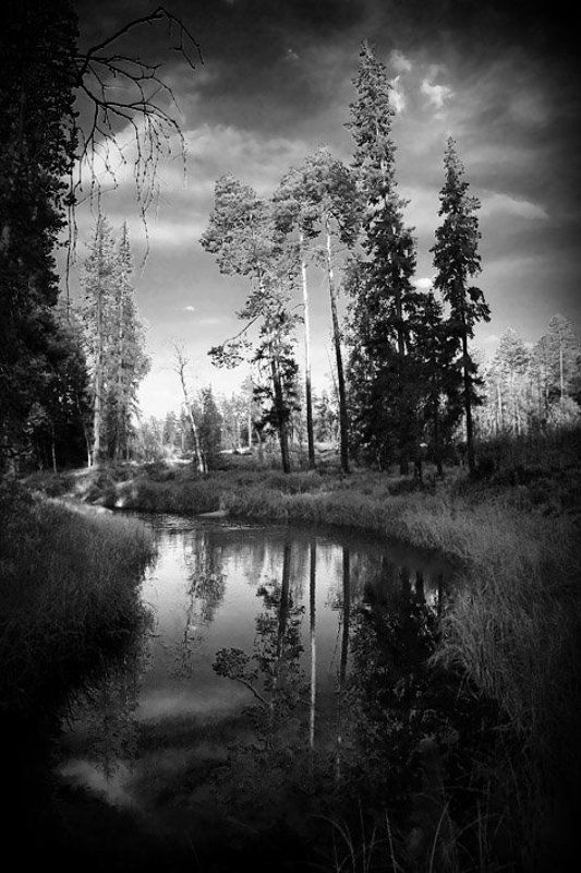 из, сказки photo preview