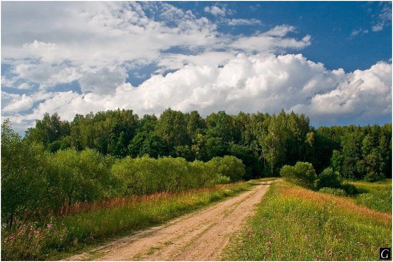 талашкино, лето, дорога, небо Летний пейзаж с дорогойphoto preview