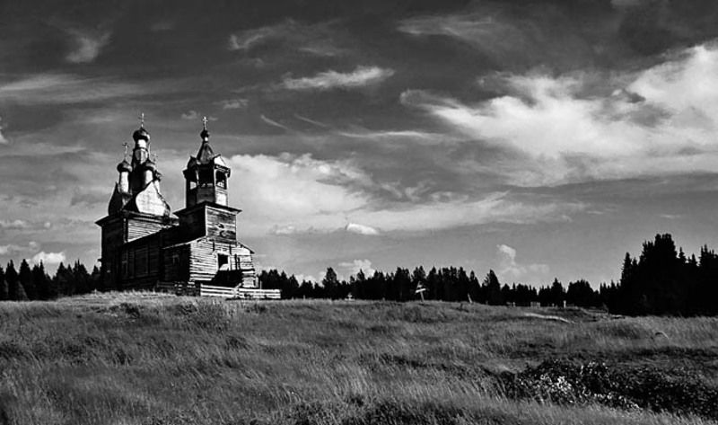 и, тропа, заросла *photo preview