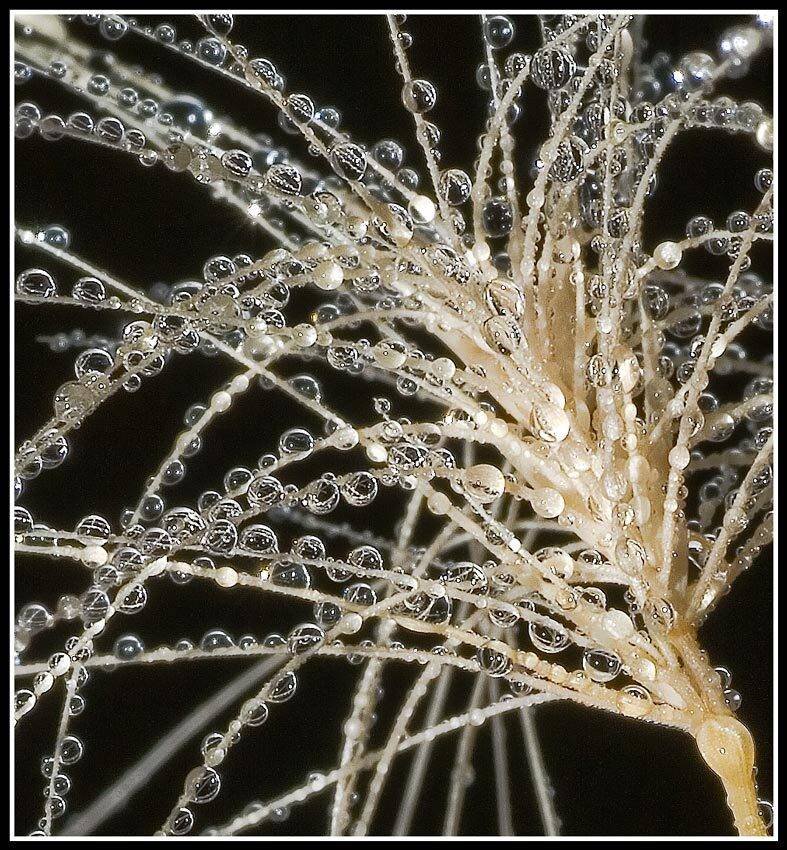 этюд, Качурин Алексей