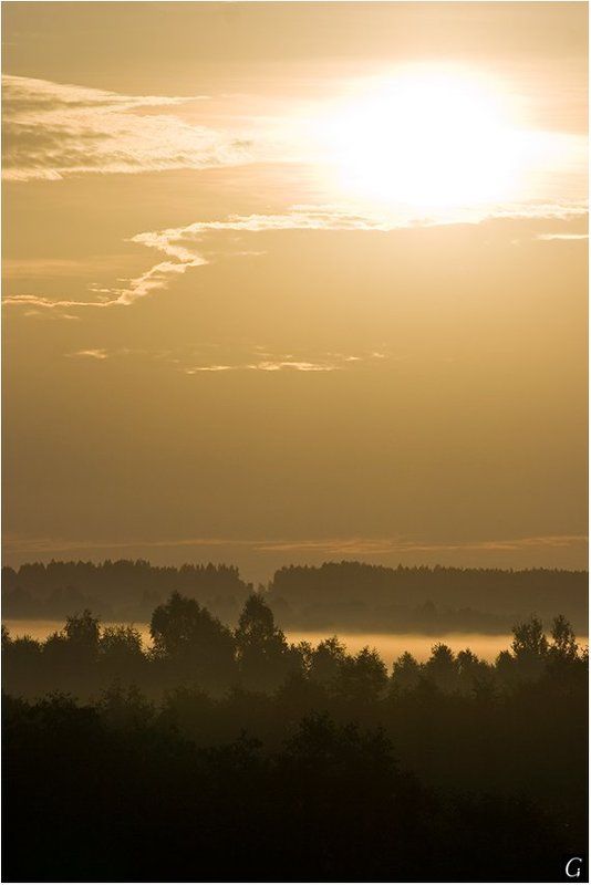 талашкино, рассвет, солнце, даль, туман Громкая песнь утреннего солнца!photo preview