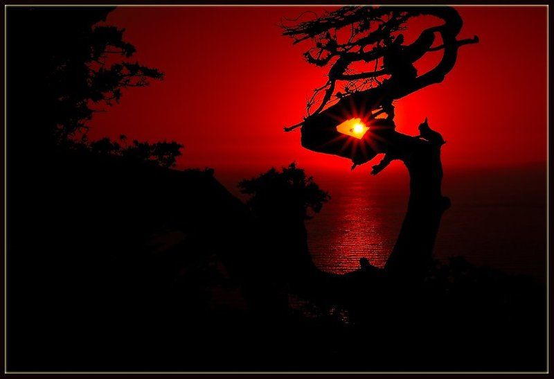 греция,родос,закат,солнце,деревья Ждущие ночь...photo preview