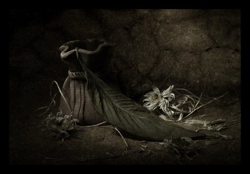 Готика фото превью