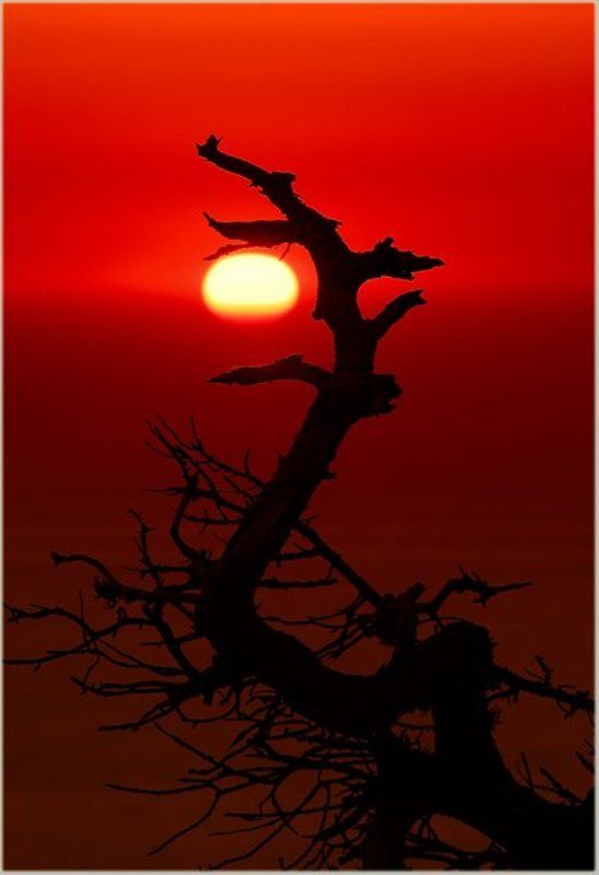 Греция, закат, коряга, Родос, солнце Драконphoto preview