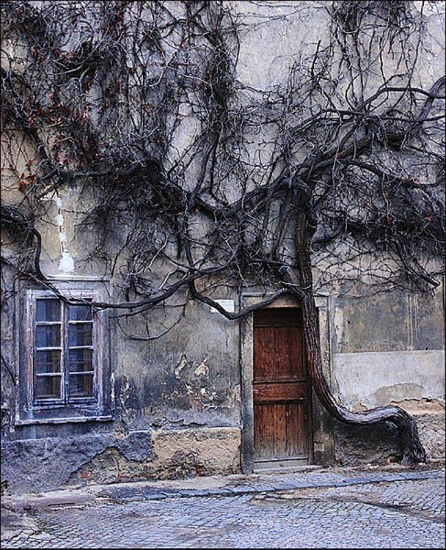 прага,всеми любимый кадр))) * * *photo preview