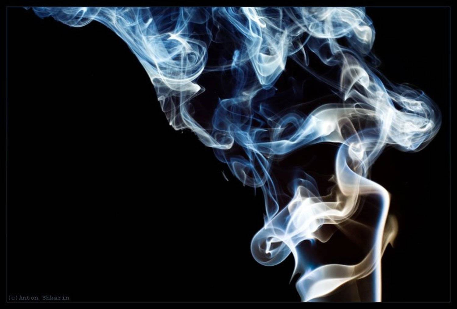 дым. Автор: Антон Шкарин дым, Антон Шкарин