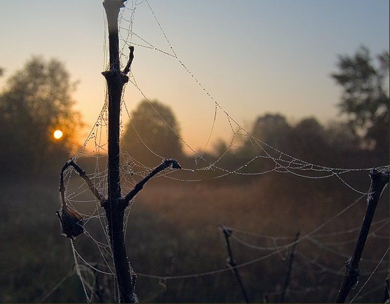 Приметы осениphoto preview