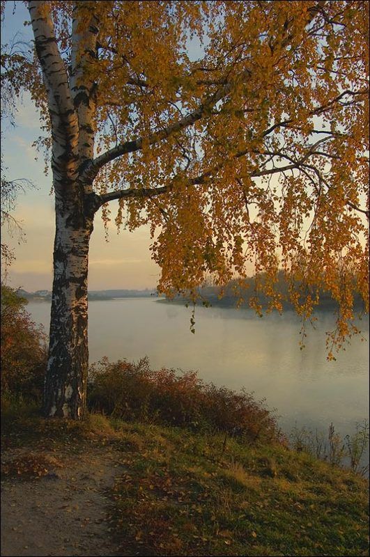 Над тихой рекойphoto preview