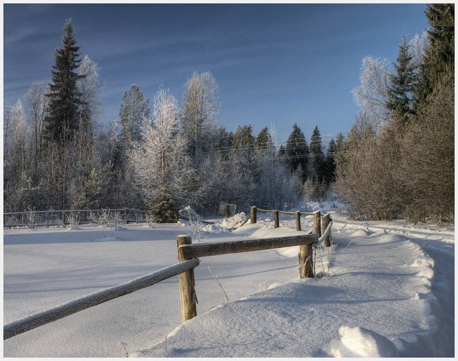 , Наталья Воронцова