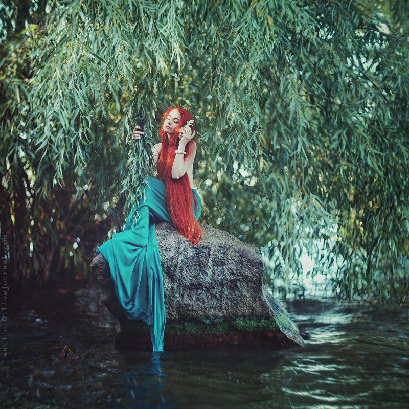 The little Mermaidphoto preview