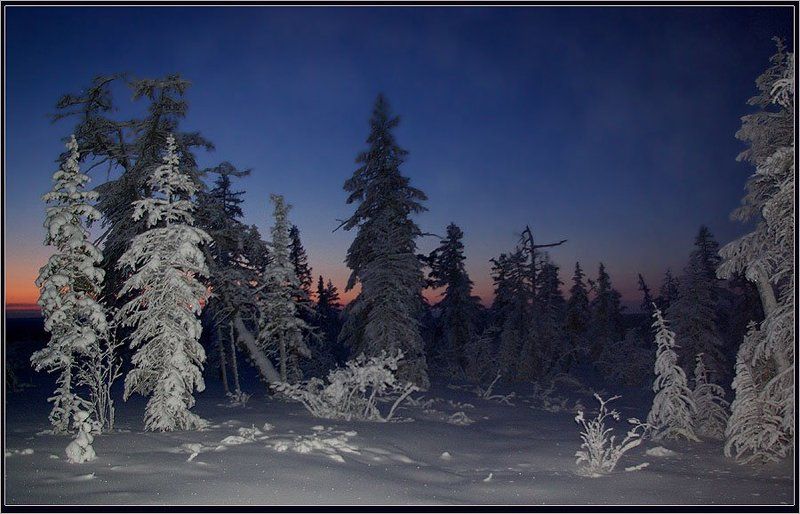 тайга, зима, мороз, заря, приполярье Полдень короткого дняphoto preview
