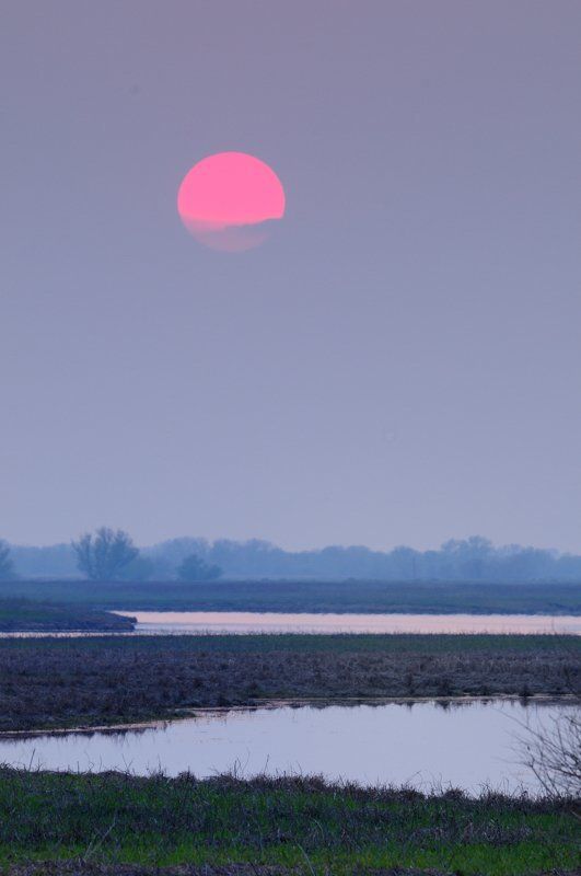 вечер.закат.облака.вода.разлив.солнце В облака.photo preview