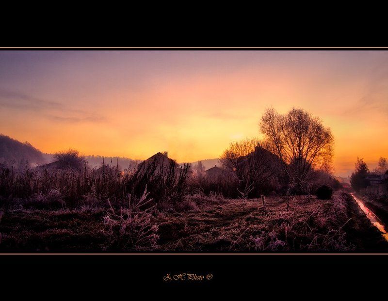 sunrise, early, morning, dawn, houses, trees, skyline, orange, pink Houses behind treesphoto preview