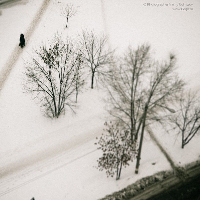 begic Видphoto preview