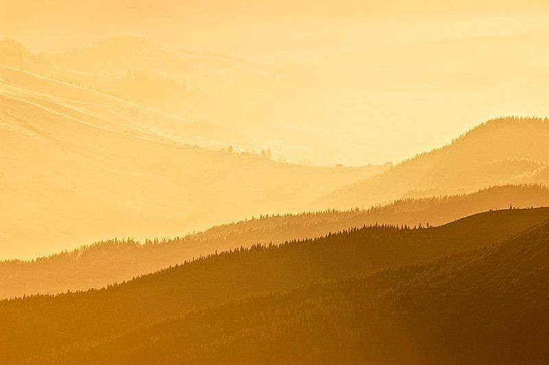 карпати, пейзаж Золотий ранок / Golden morningphoto preview