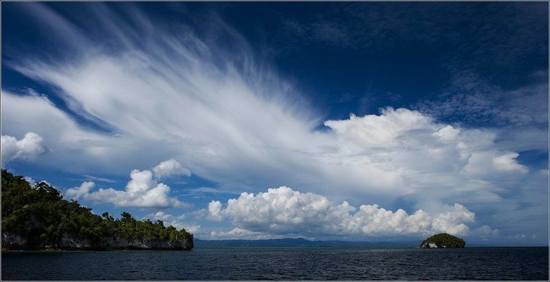 Прощальный взмах крыла белой птицы... фото превью