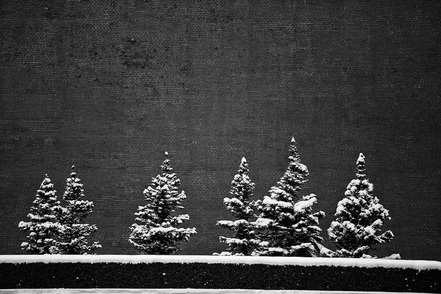 , Максим Юлдашев (maximyuldashev.ru)