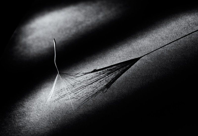 Танец с тенью...photo preview