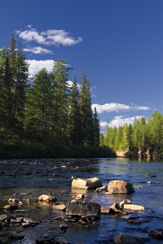 светphoto preview