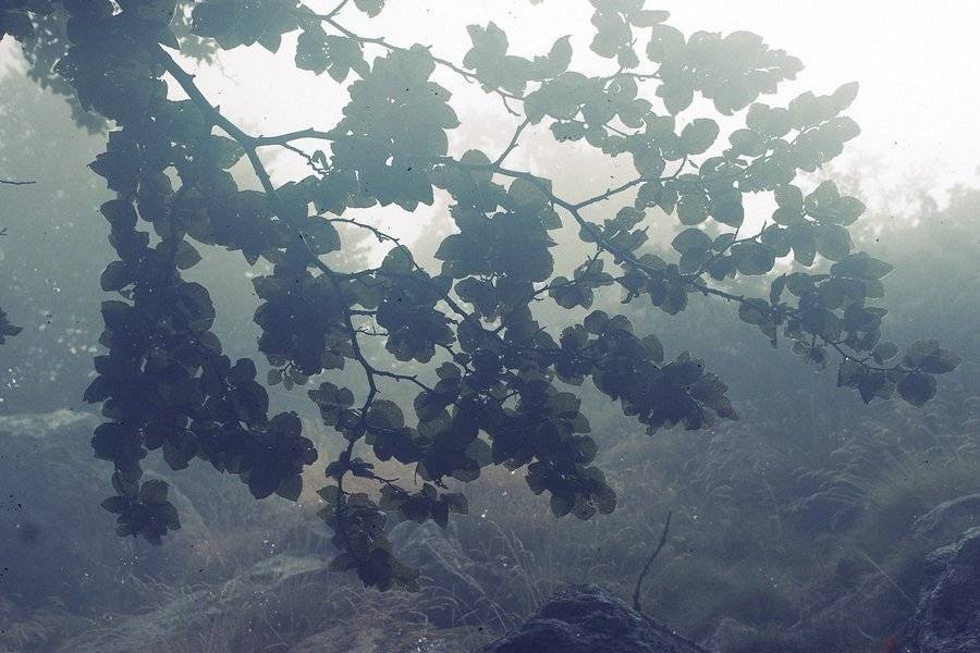 Автор: Kuznetsov Ivan , Kuznetsov Ivan