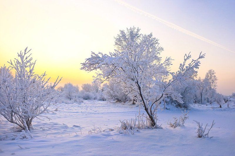 Закатноеphoto preview