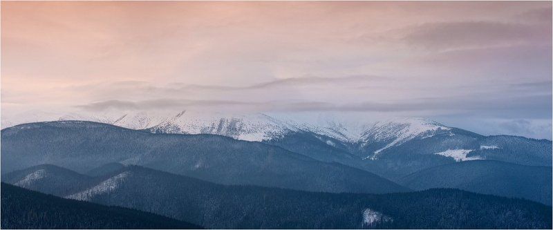 про йолки на ПП,на СП,на ЗП...куда не глянь-йолки...photo preview
