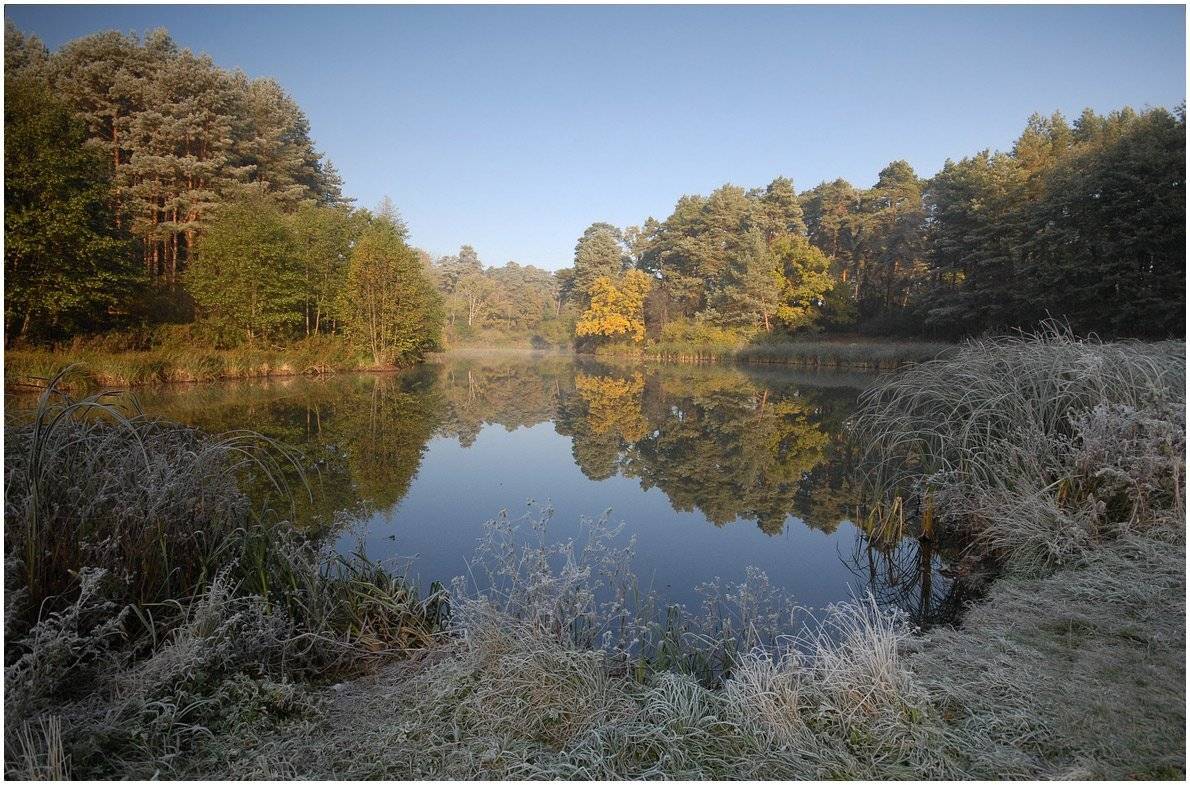 -октябрьским утром..-. Автор: Николай Шахманцир , Николай Шахманцир