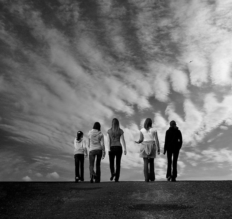 swallowsphoto preview