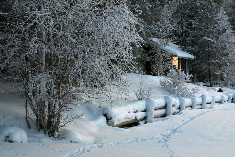 Света и тепла вам в Новом году! фото превью