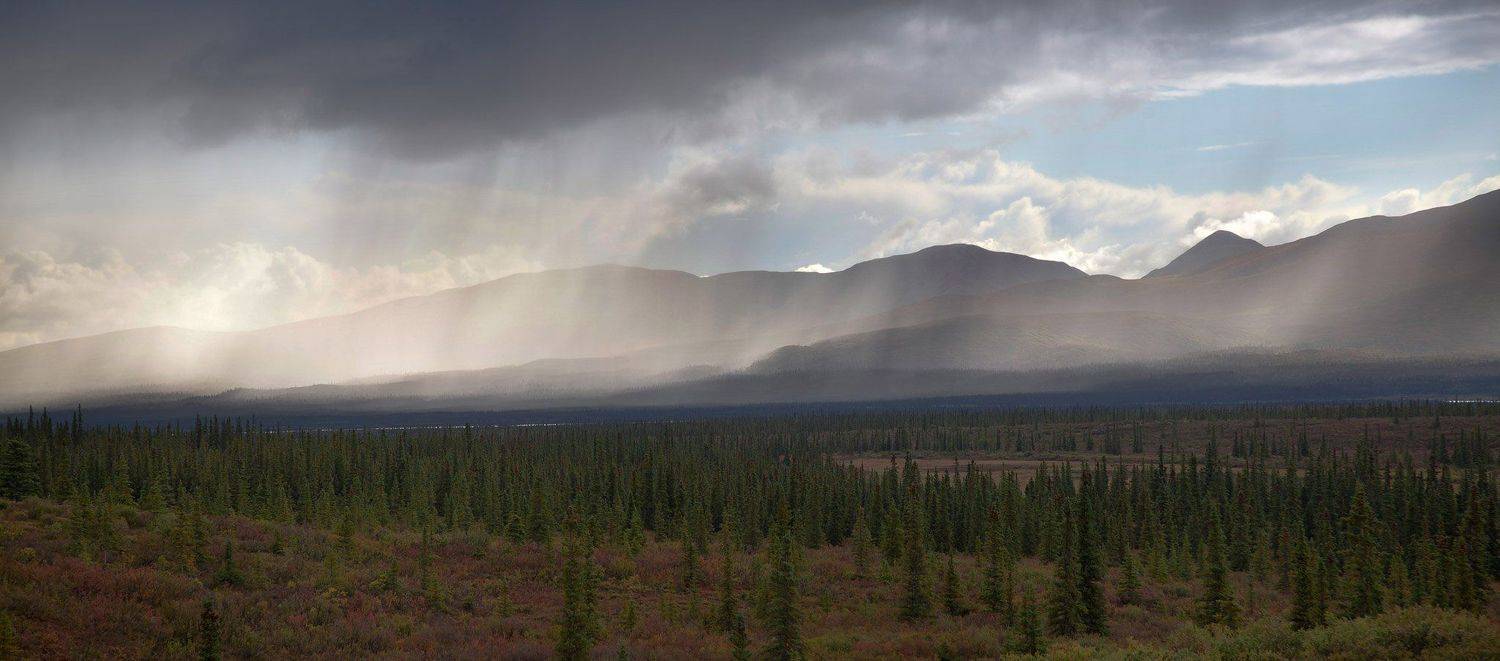 HА АЛЯСКЕ СЕГОДHЯ ДОЖДИ.... Автор: Yuri Ovchinnikov , Yuri Ovchinnikov