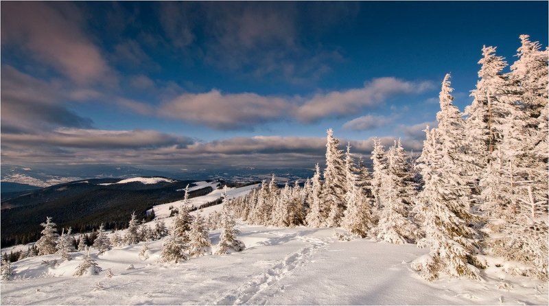 зима опять пришла...photo preview