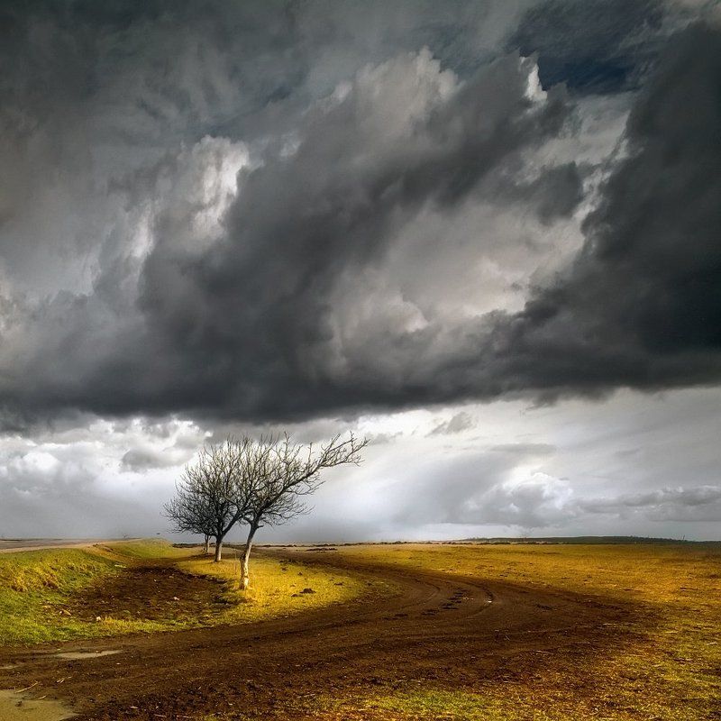 Поворотphoto preview