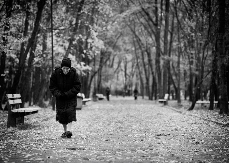 last autumnphoto preview