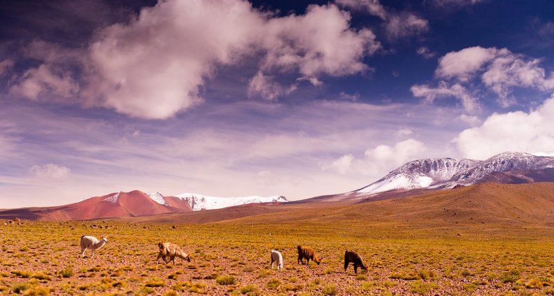 Боливияphoto preview