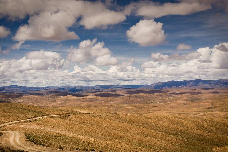 Боливияphoto preview