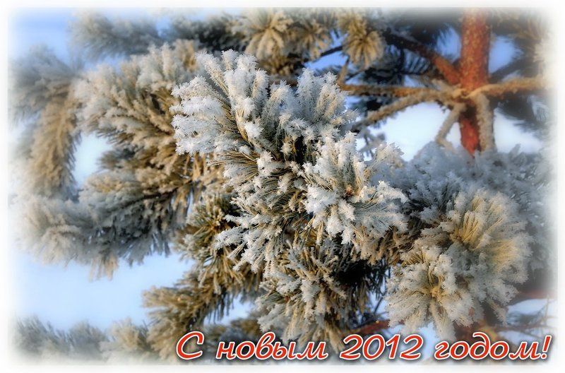 С новым годом!!!photo preview