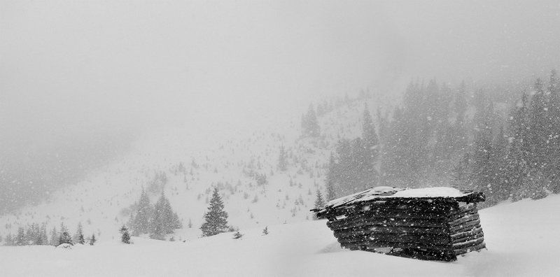 карпаты, природа, пейзаж, снег, туман, панорама С Наступающим Новым Годом!photo preview