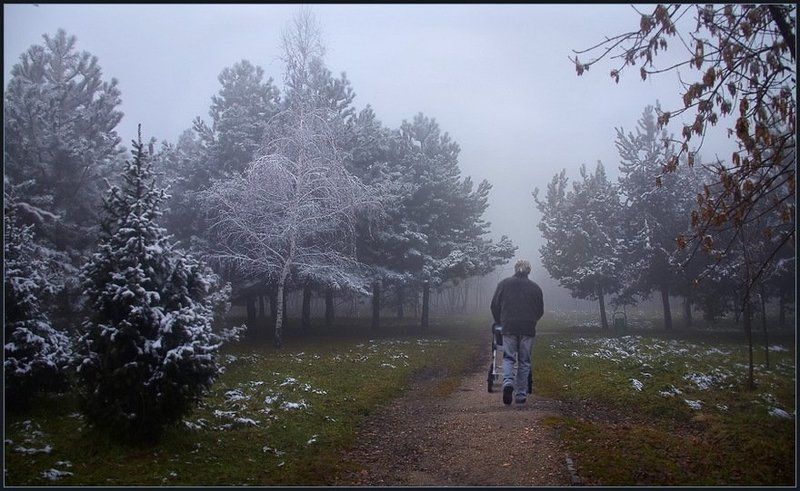 Предновогодняя прогулка ...photo preview