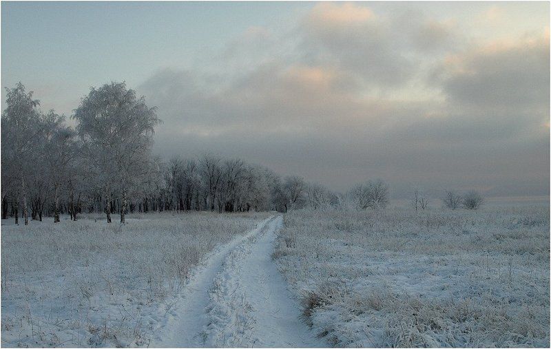 Зимний лесphoto preview