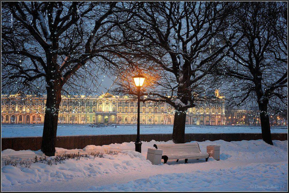 питер, Дмитрий Бакулин