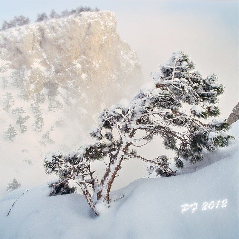 pf 2012photo preview