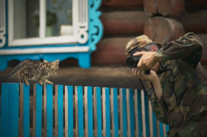 фотосафари средней полосы фото превью