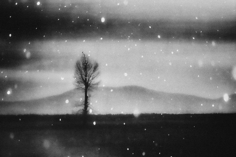 Silencephoto preview