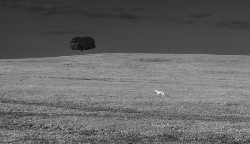 реальной, жизни Реальной жизниphoto preview