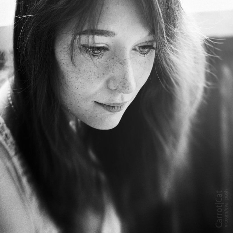 carrotcat frecklesphoto preview