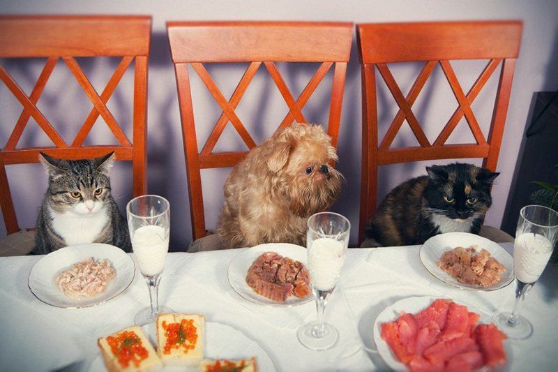 В ожидании курантов....photo preview