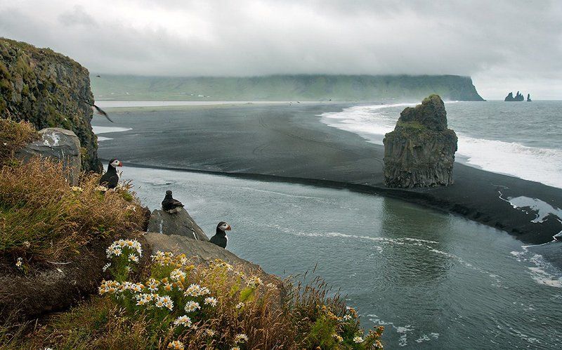 Берег океанаphoto preview