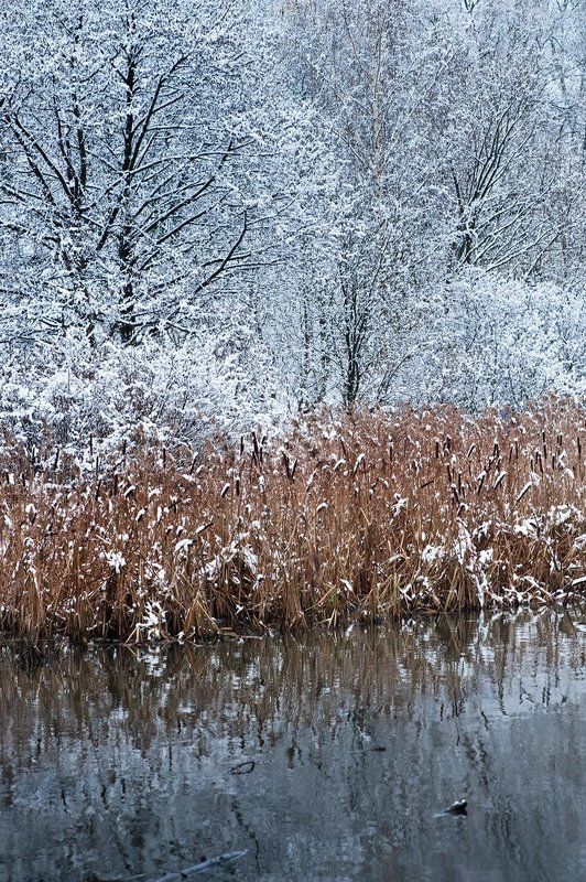 зима, яуза, снег Зима на Яузеphoto preview