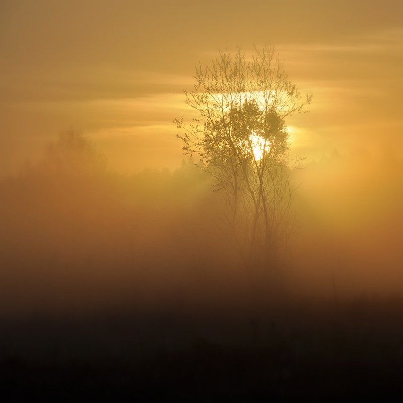 Рассветная фото превью