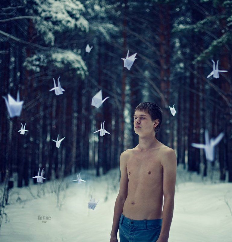 the Cranesphoto preview